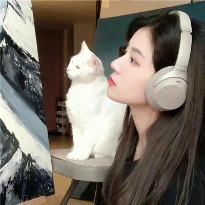 阴阳剑